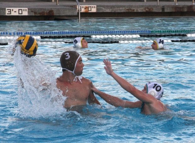 Sharks looking sharp, lean ahead of water polo season