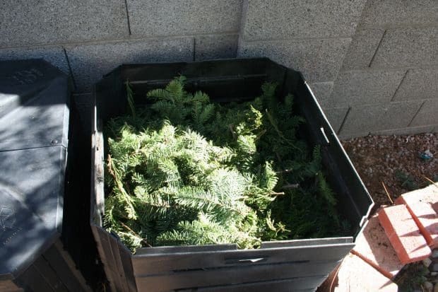 How to Recycle Your Christmas Tree in Malibu