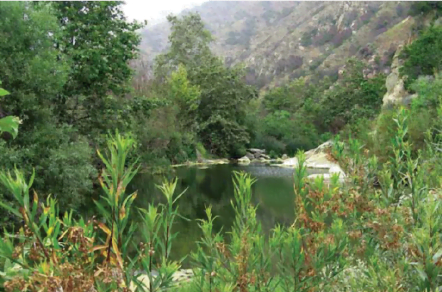 Water Reuse Symposium Scheduled in Malibu