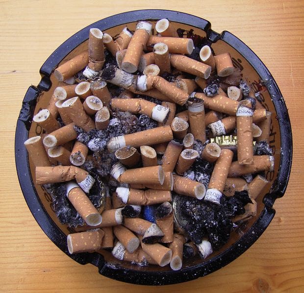 Tobacco Control Report Gives Malibu 'C' Grade