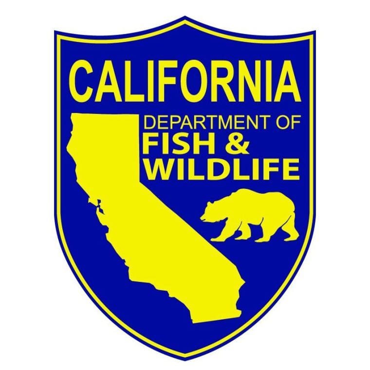 Fish and Wildlife Looking for Volunteers