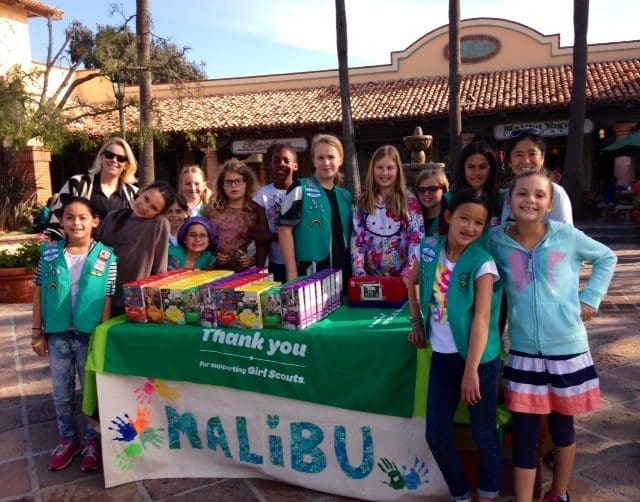 Webster Girl Scouts Sell Cookies