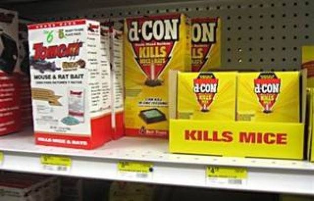 Rodenticides Banned From Stores as of July 1