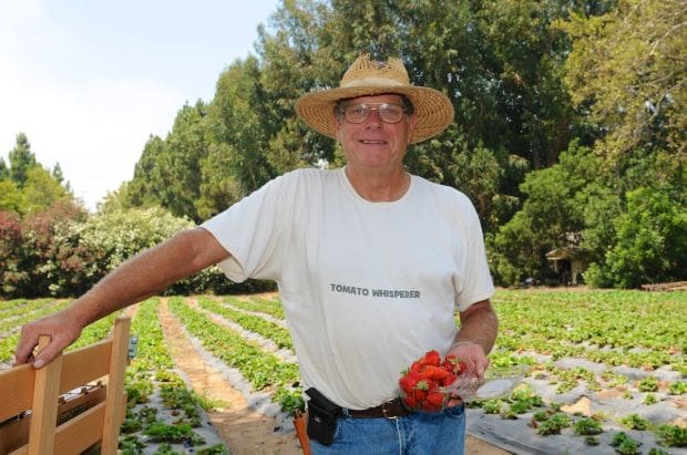 Local Farmer is 'The Tomato Whisperer'