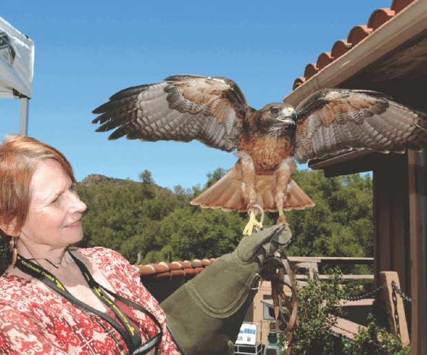 Larry Ellison Helps Raise $600K for California Wildlife Center