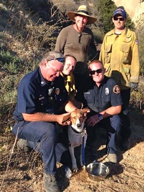 Dog Rescue