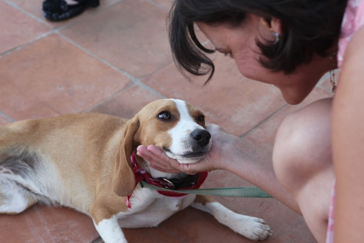 Tani Schneider and Peaches
