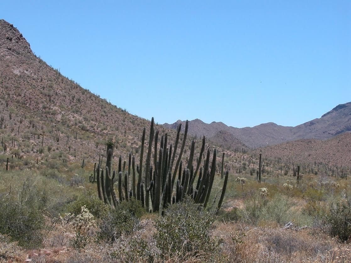 Arizona’s Spectacular Southern Monument
