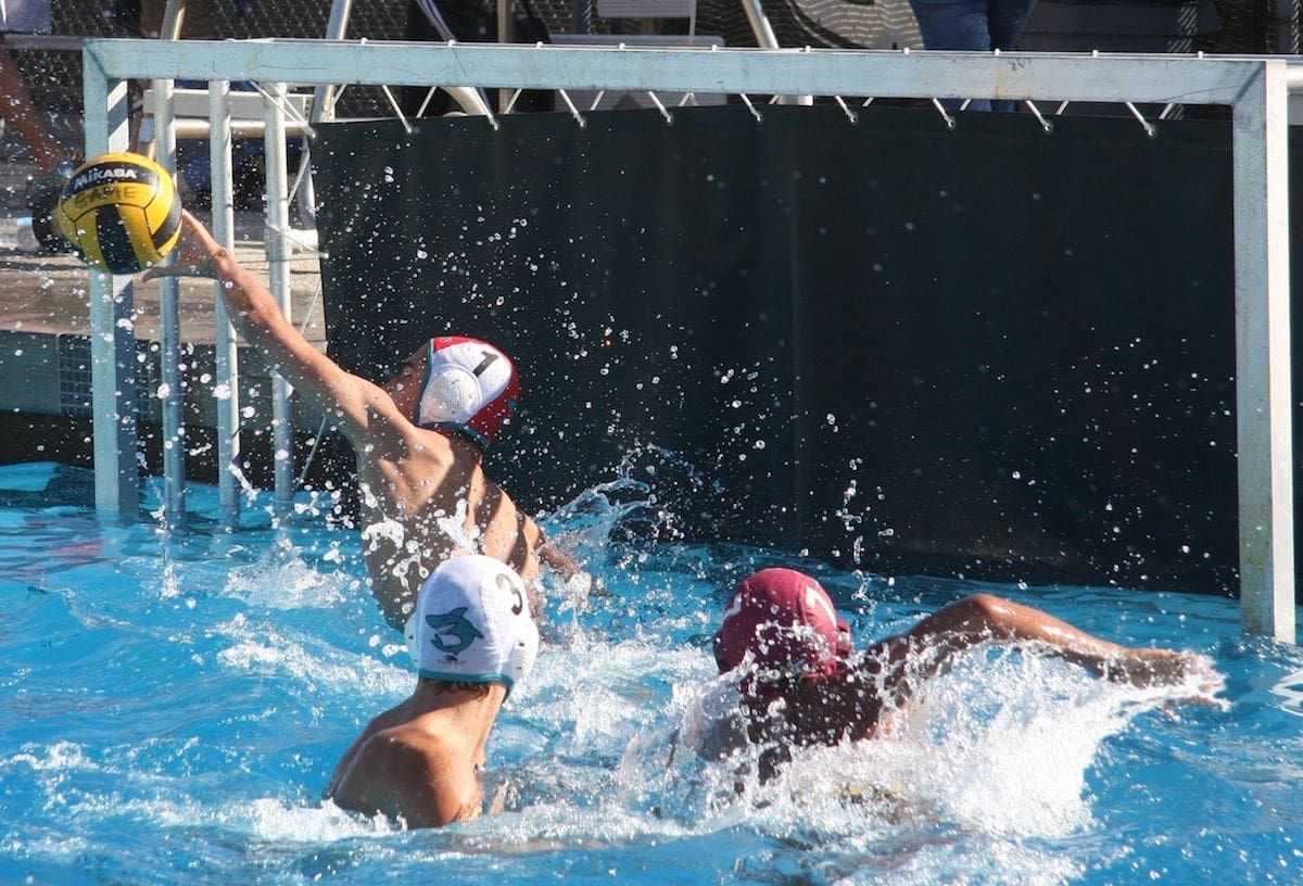 Malibu Cross Country, Water Polo Advance To Playoffs