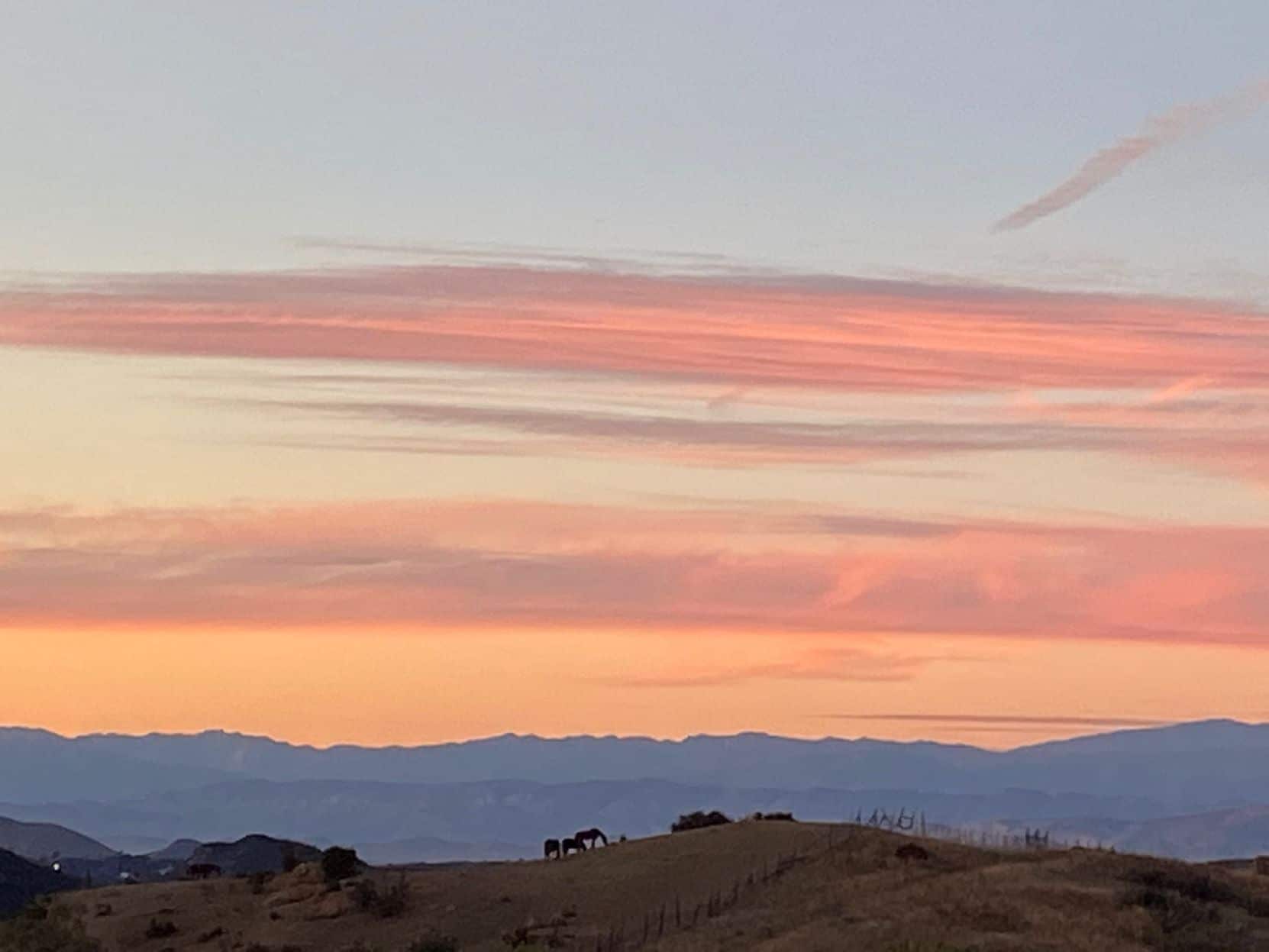 Horses at Sunset
