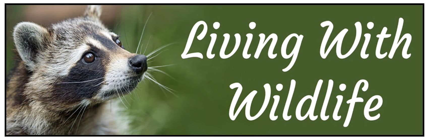 Living With Wildlife