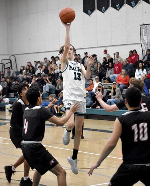 Sharks Boys Basketball Seasons Ends With Senior Night Loss