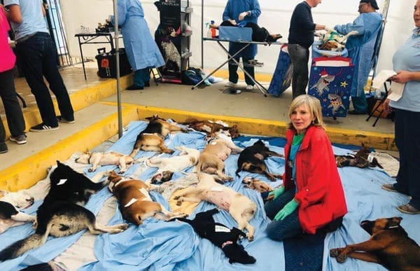 Protecting Animals South of the Border