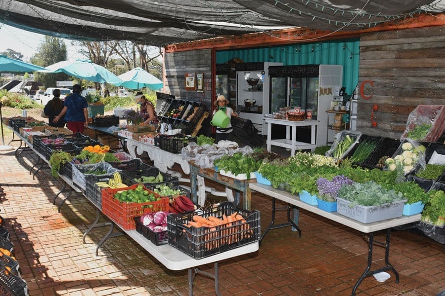 Malibu Farm Stands Open During COVID-19