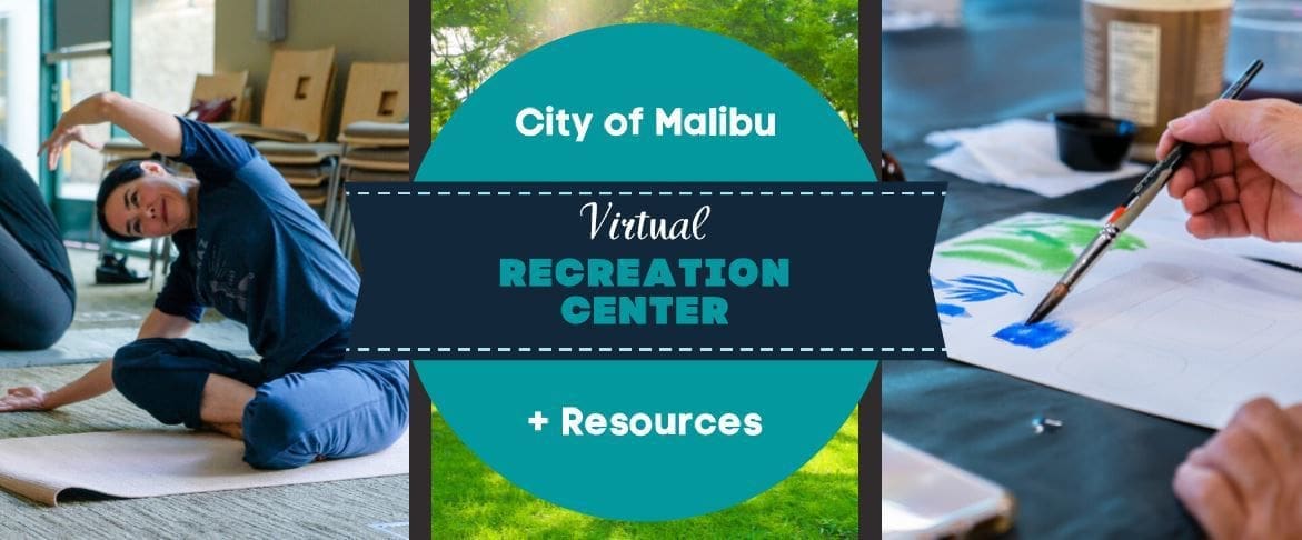 Opportunities Abound for Virtual Learning this Summer