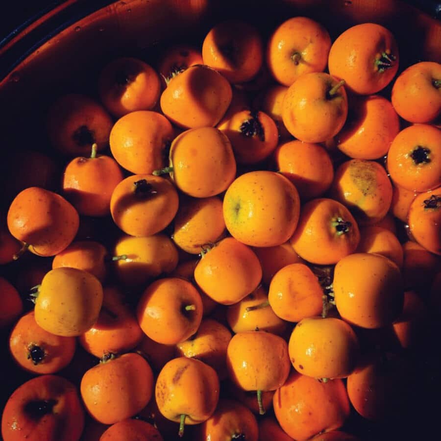 The Food Column: Jam Yourself Out of a Rut