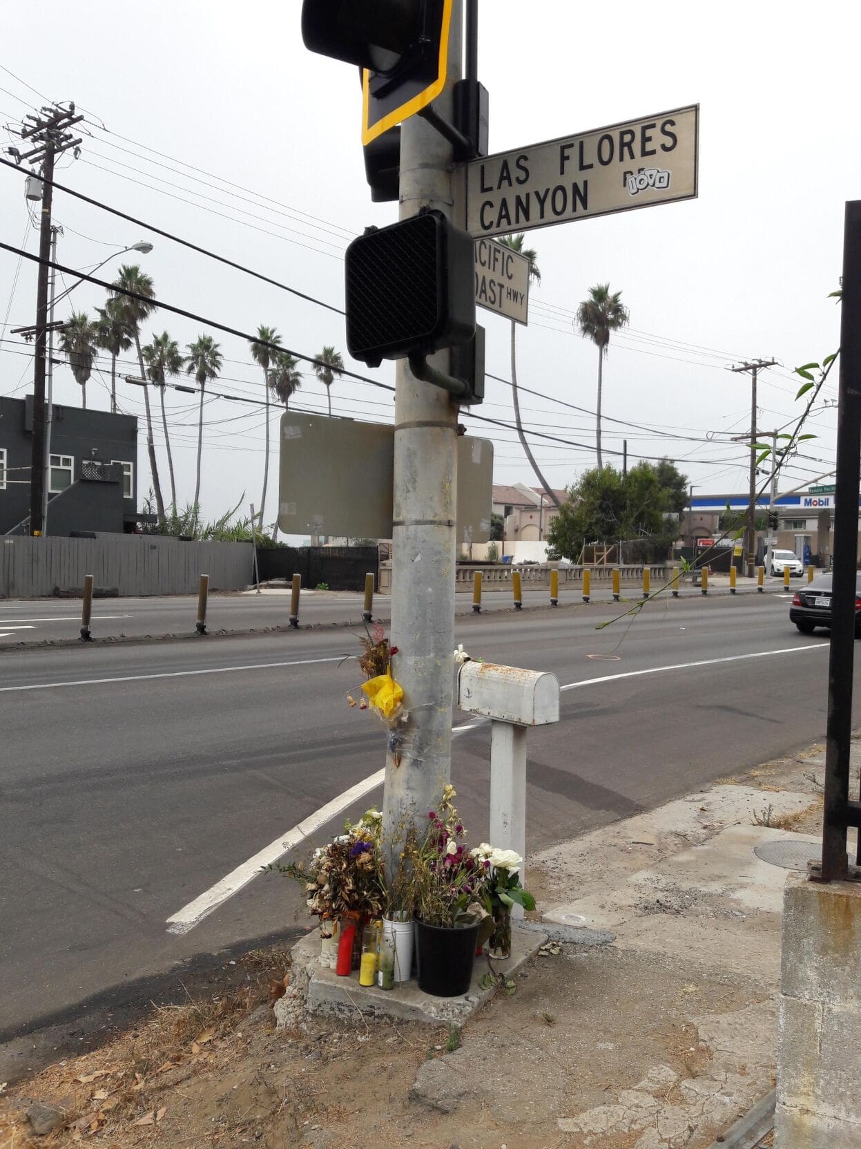 LASD Calls for Residents' Help Investigating Hit-and-Run