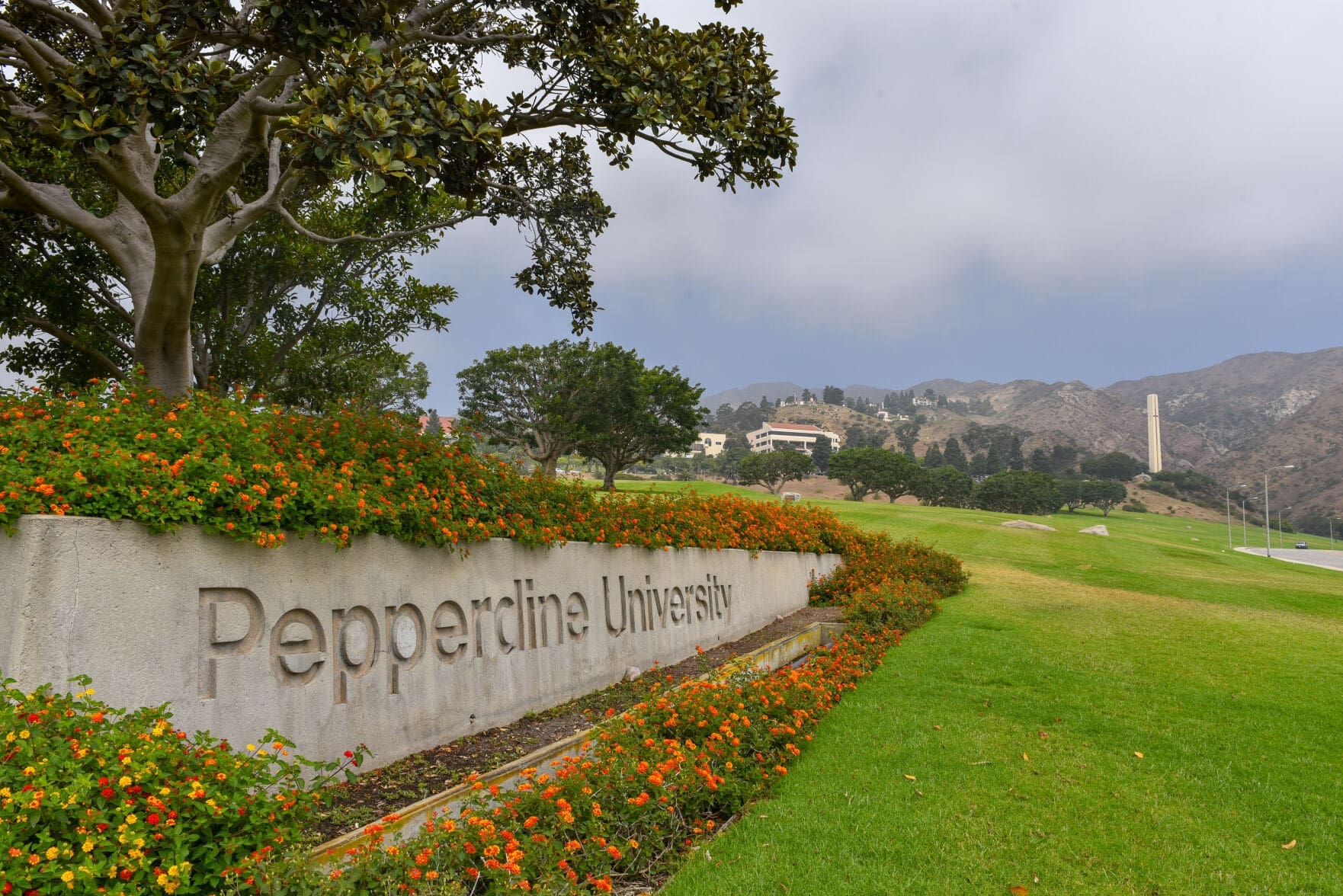 Pepperdine School of Public Policy Dean Shares Petition Against ‘Far Left Indoctrinating’ Curriculum