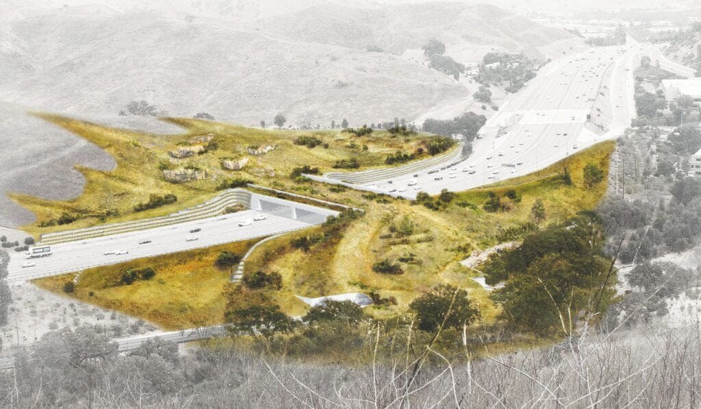 New Plans Released for Long-Awaited Wildlife Crossing
