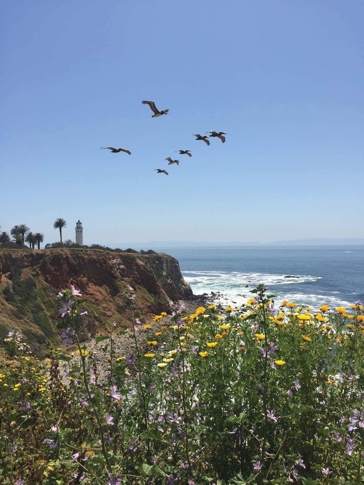 Application to serve on the City’s Environmental Review Board has been extended