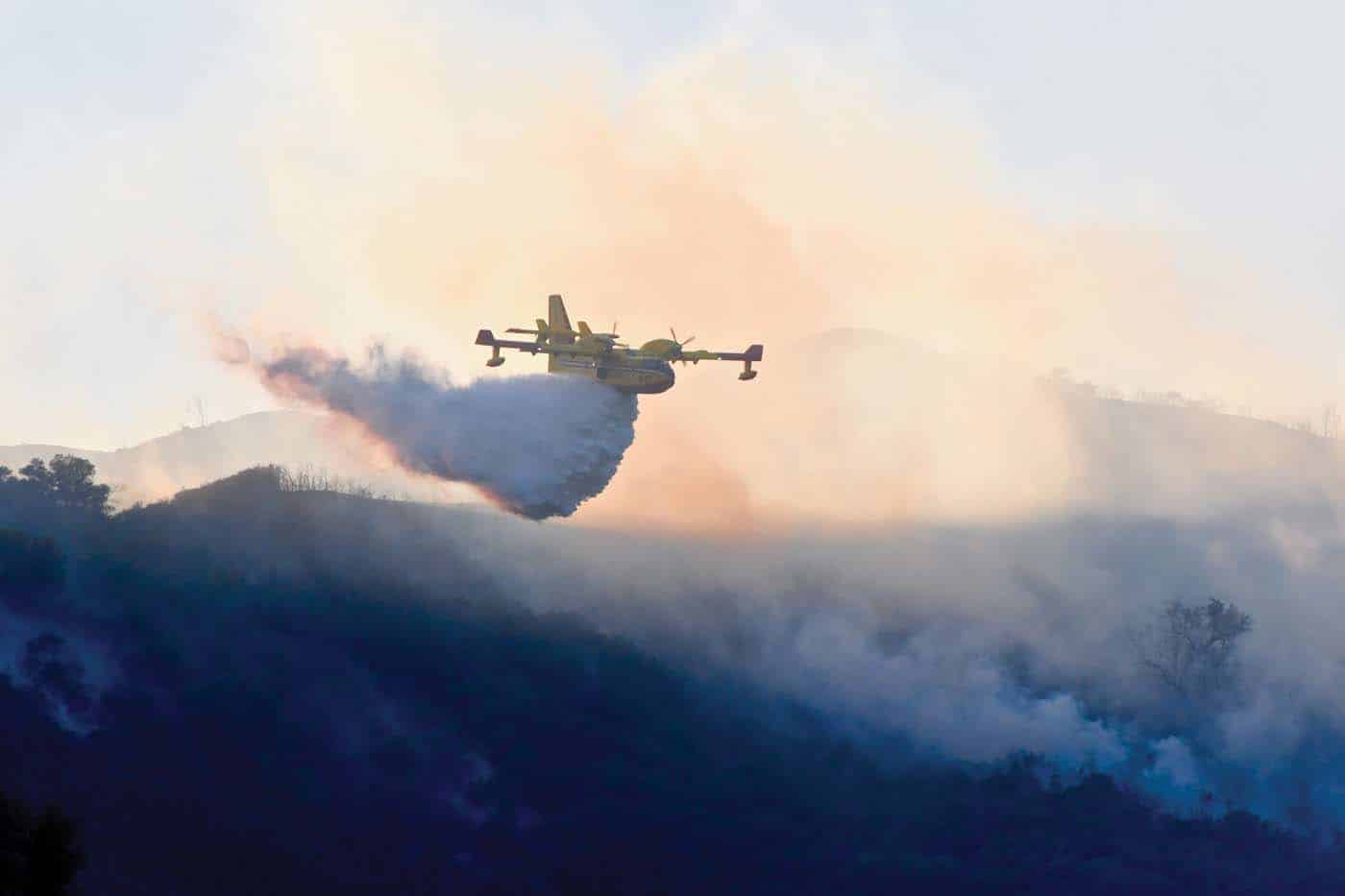 The Fire [A Brief Summary]