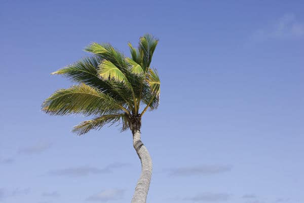 Fire Weather Watch for Malibu Wed thru Thurs due to strong winds & low humidity. Be prepared for possible fires, evacuations & power outages.