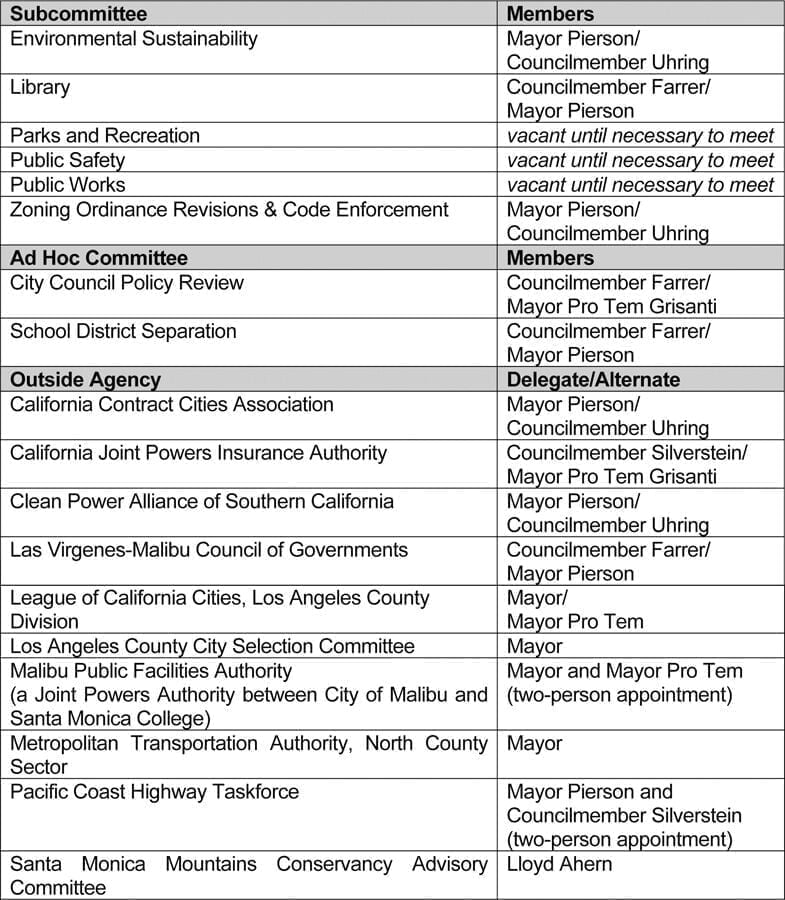 Council Fills Subcommittees