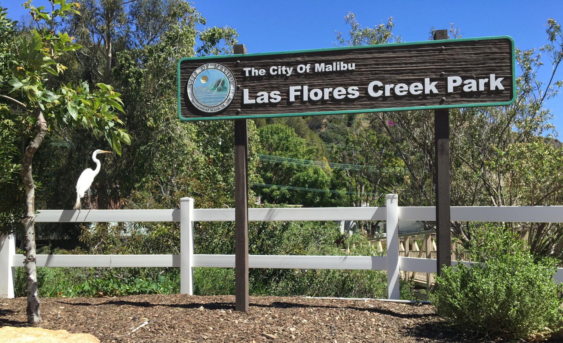 Parks and Recreation Commission Will Not Pursue Dog Park at Las Flores Creek Park