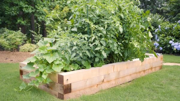 How and Why to Build a Raised Garden Bed This Season
