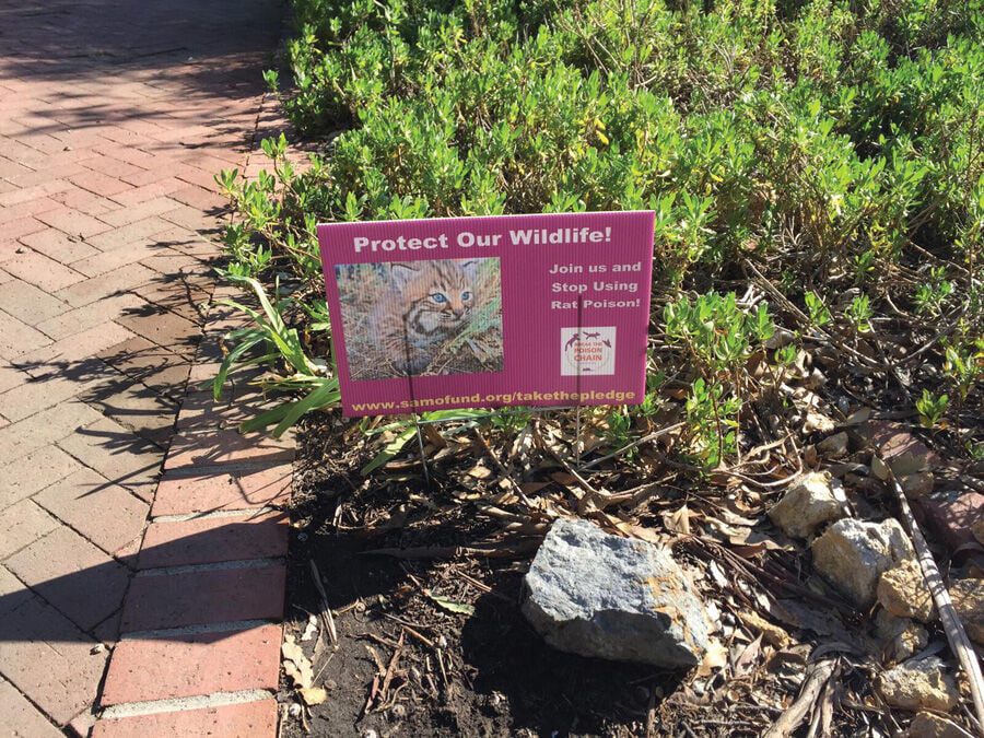 Santa Monica Mountains Fund Distributing ‘Poison Free’ Yard Signs
