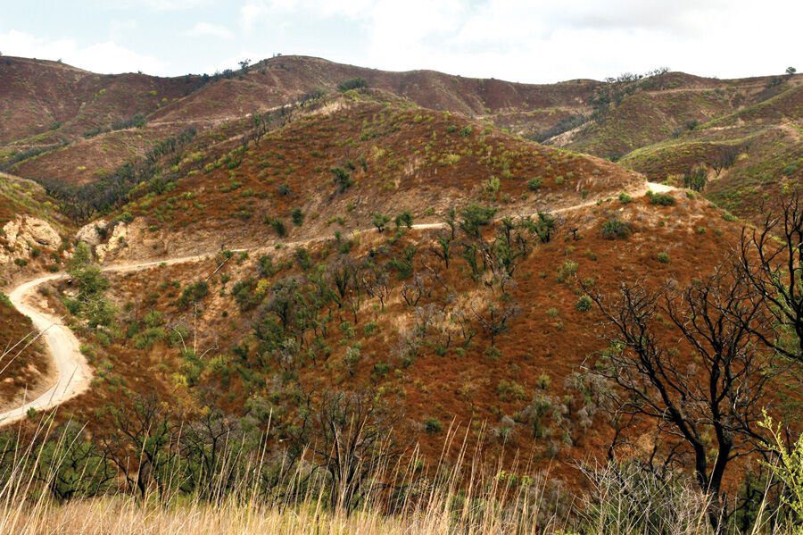 Malibu Foundation Launches Climate Vulnerability Survey