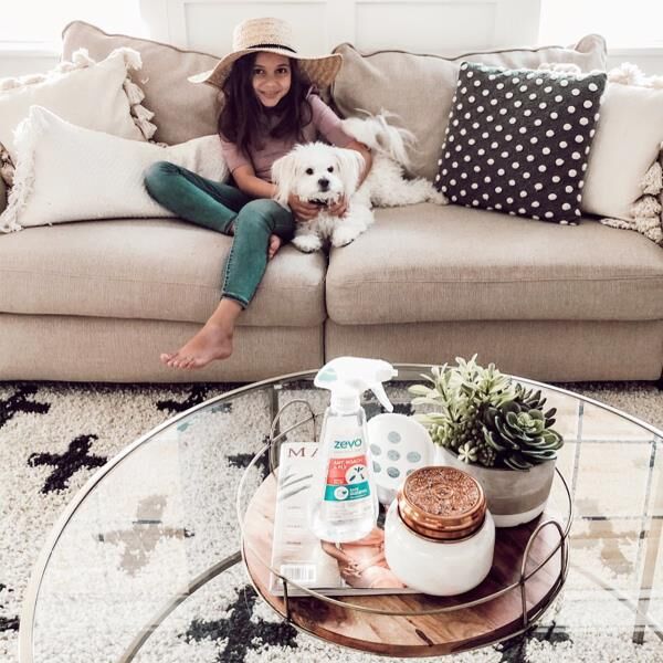 4 Ways to Prepare Your Home for Bug Season