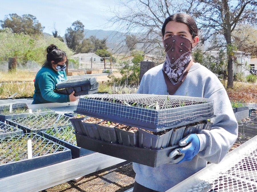 Protecting Native Wildlife in the Santa Monica Mountains