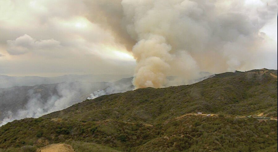 Suspect Apprehended in Palisades Fire