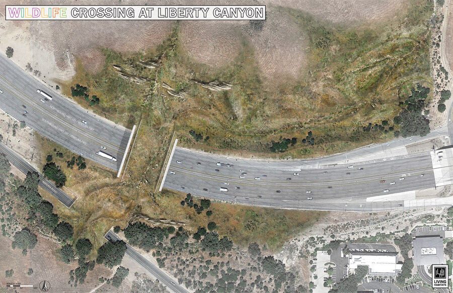 Annenberg Foundation Offers $25 Million Challenge Grant To Build Wildlife Crossing