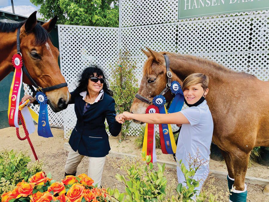 Not Just Horsing Around