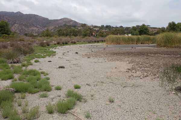 The Case for Keeping Legacy Park Pond Full of Water Year-Round