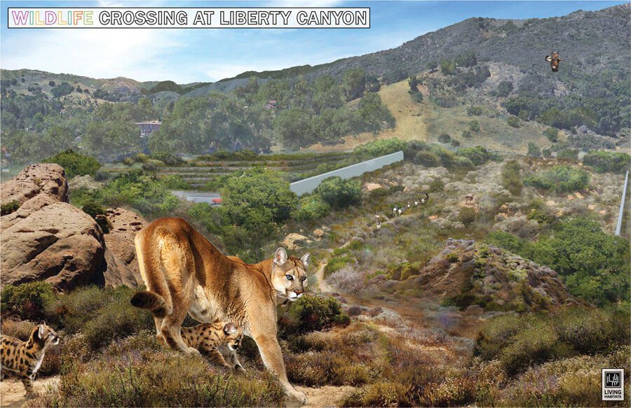 Resource Conservation District Doing Good Things in the Santa Monica Mountains