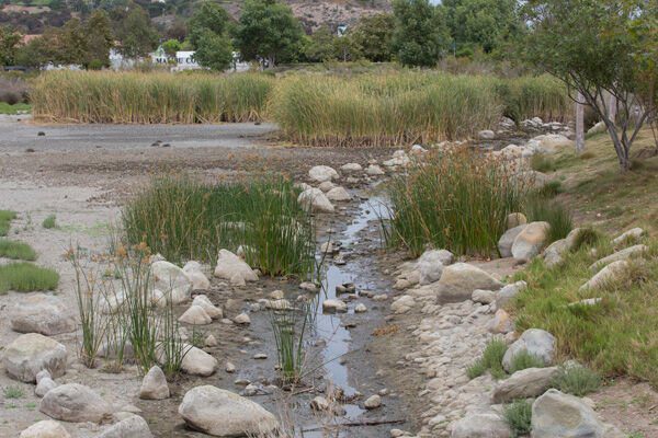 The Bureaucratic Tangle Behind Getting Water to Legacy Park