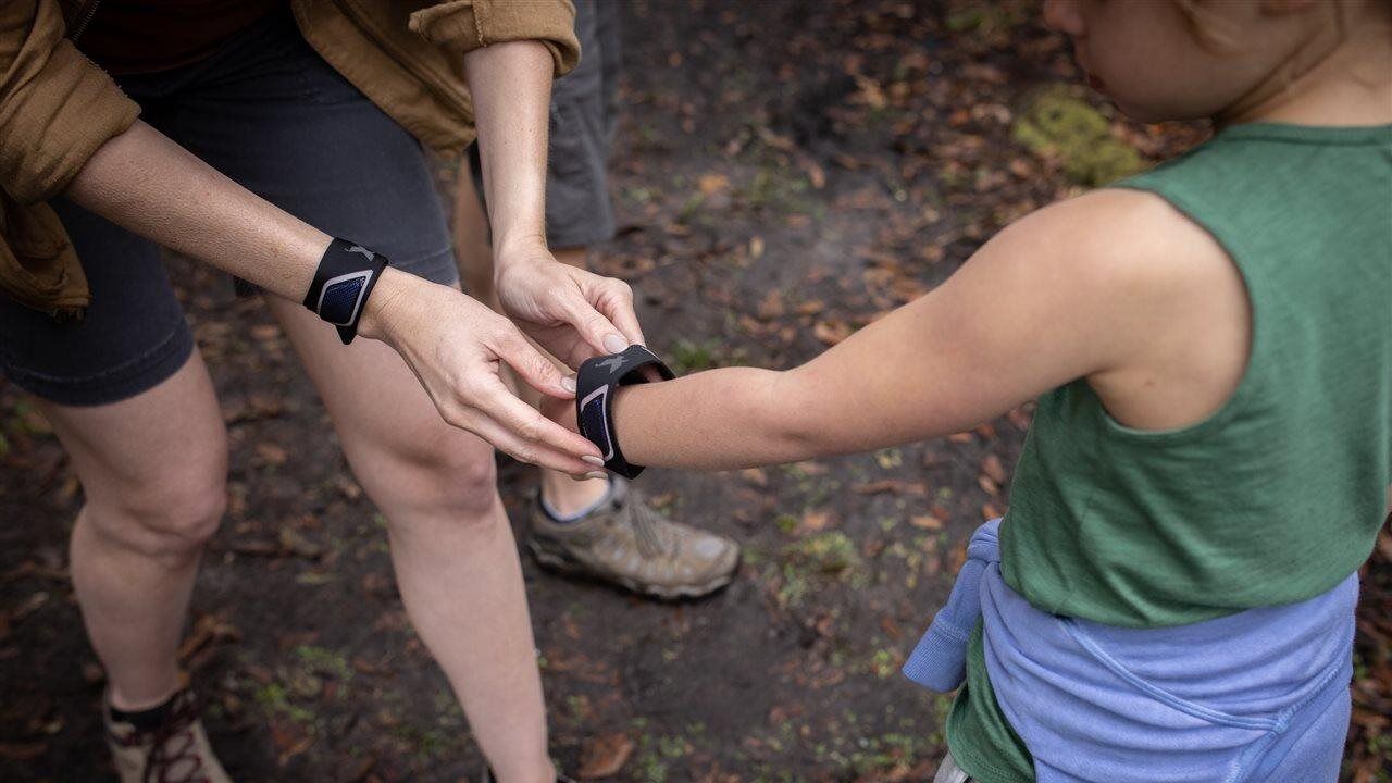 7 smart strategies to keep mosquitoes at bay