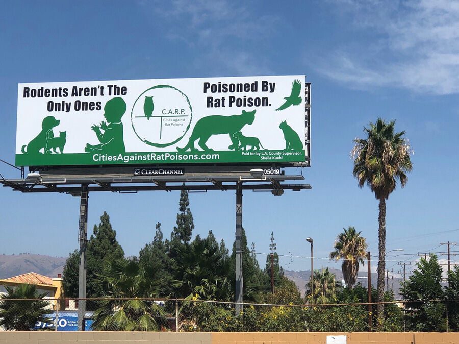 Poison Free Malibu Forms CARP: Cities Against Rat Poison