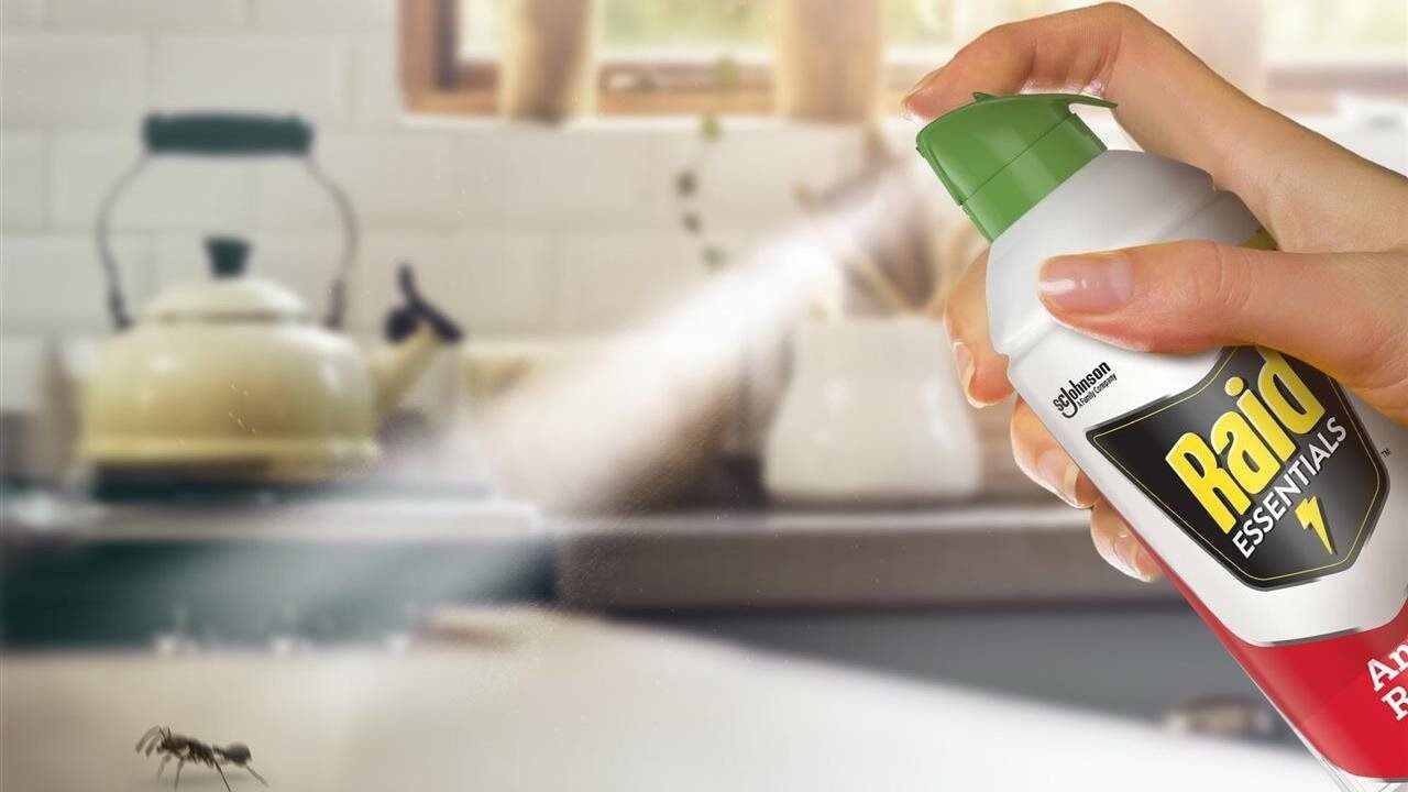 5 Easy Tips for Preventing Unwanted Bugs in The Home This Fall and Winter