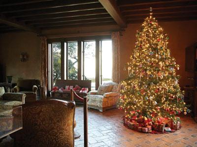 Malibu Adamson House Gets in the Holiday Spirit