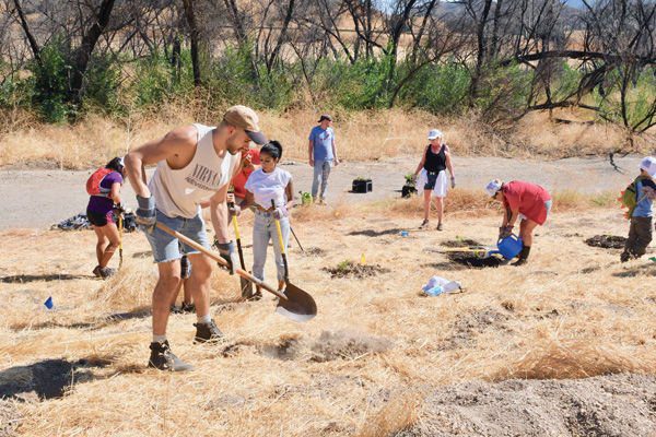 Thousands of Trees to be Planted This Weekend
