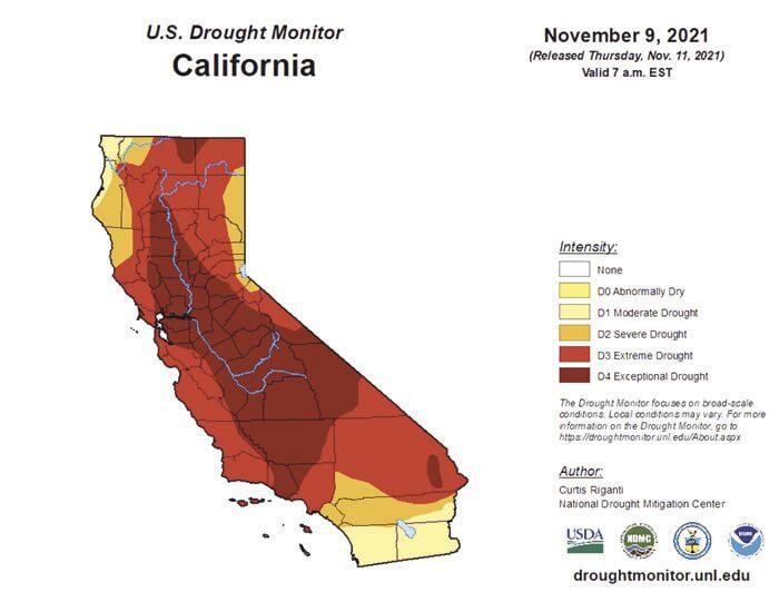 Severe Drought Declared