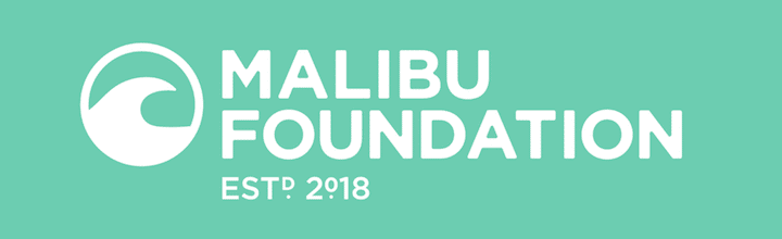 Report outlines how city can adapt to the climate crisis