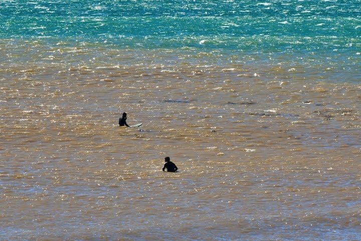 Certain Malibu beaches see high bacteria levels