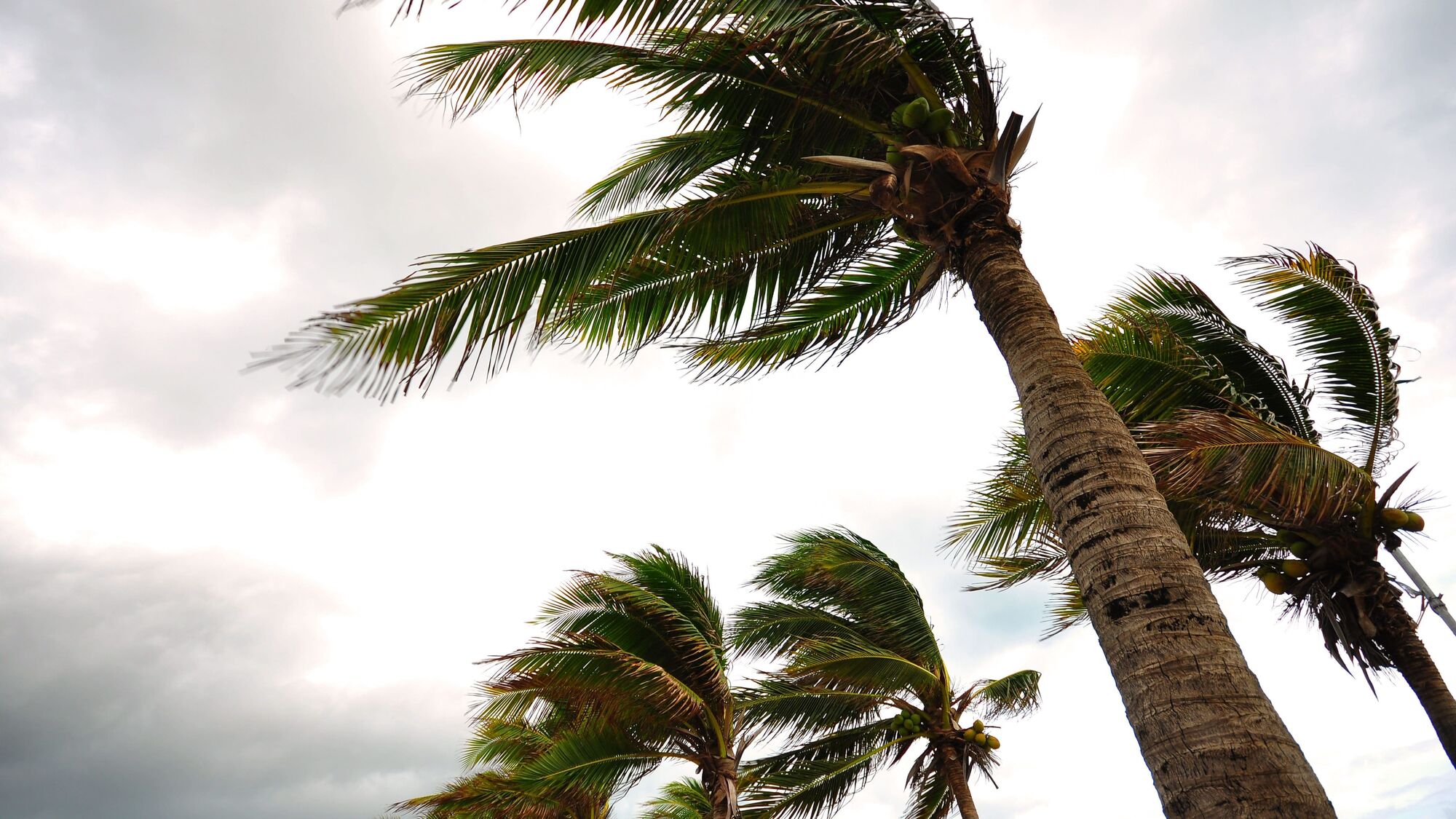 Strong winds, gusts up to 35-55 mph, dangerous surf conditions forecast for Malibu this week