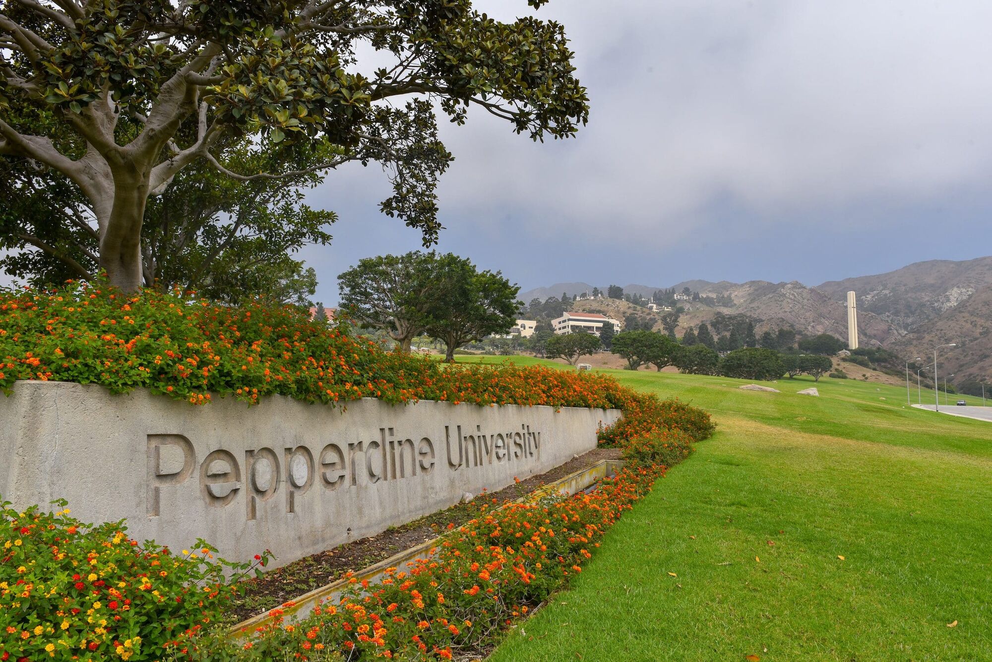 BREAKING: Pepperdine University officials identified the four students killed on PCH in fatal collision Tuesday night