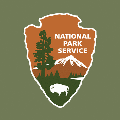 Young mountain lion hit and killed on 3100 block of PCH on March 23